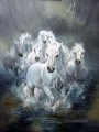 weiße Pferde die im Wasser laufen